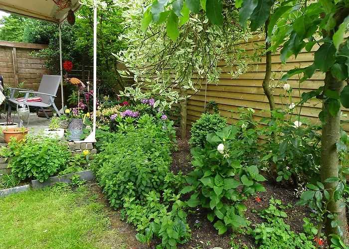 Xaviera's Amesterdão