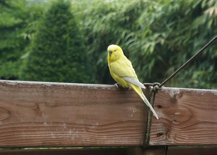 Xaviera's Alojamento de Acomodação e Pequeno-almoço
