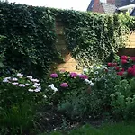 Bed & Breakfast Xaviera's 4*