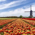 住宿加早餐酒店 夏维拉住宿加早餐酒店 4*