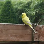 夏维拉住宿加早餐酒店 住宿加早餐酒店