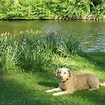 夏维拉住宿加早餐酒店 住宿加早餐酒店