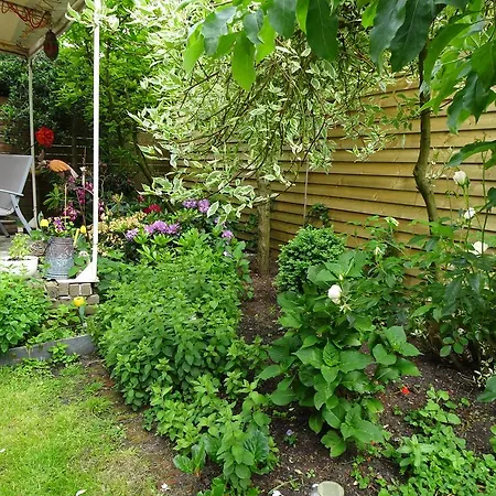 Xaviera's Ámsterdam