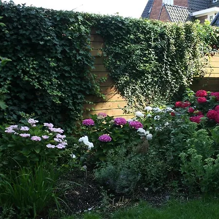 Bed and breakfast Xaviera's 4*