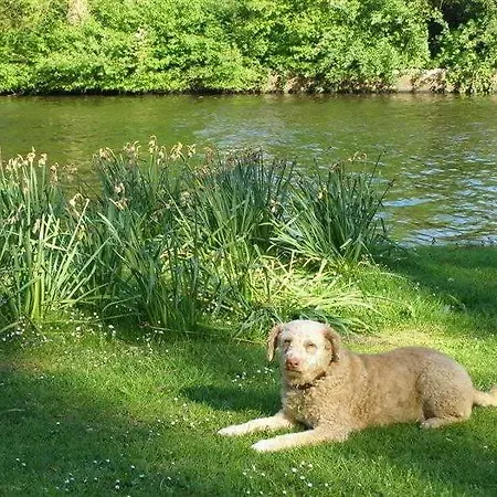 Xaviera's Bed and breakfast