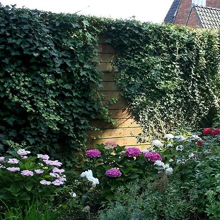 Xaviera's Bed and breakfast