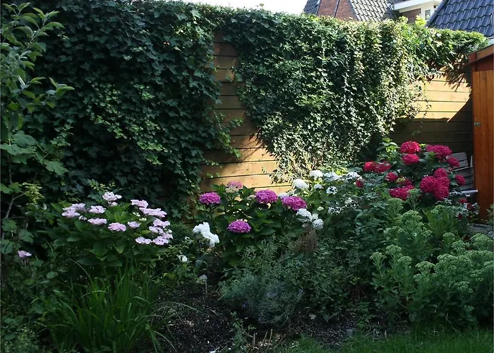 Bed & Breakfast Xaviera's 4*