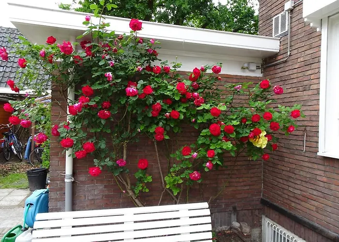 Xaviera's Bed & Breakfast