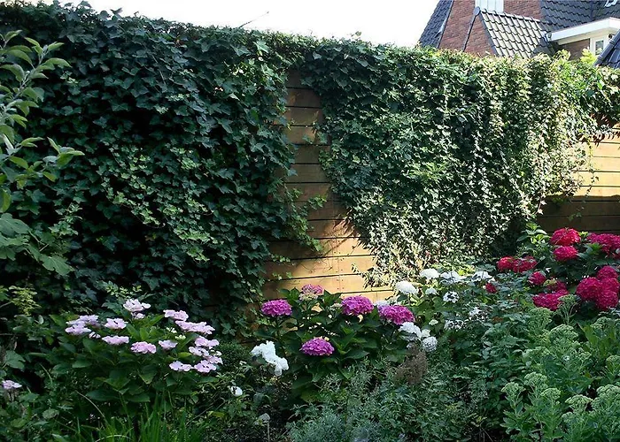 Xaviera's Bed & Breakfast