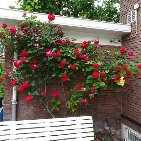 夏维拉住宿加早餐酒店 住宿加早餐酒店