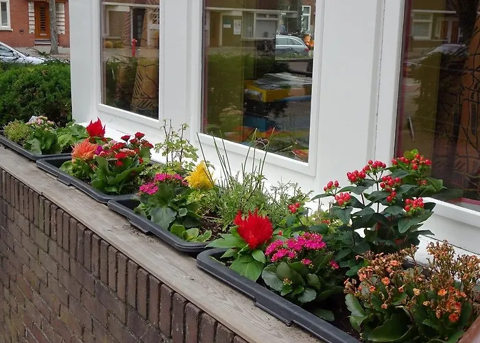 夏维拉住宿加早餐酒店 4*