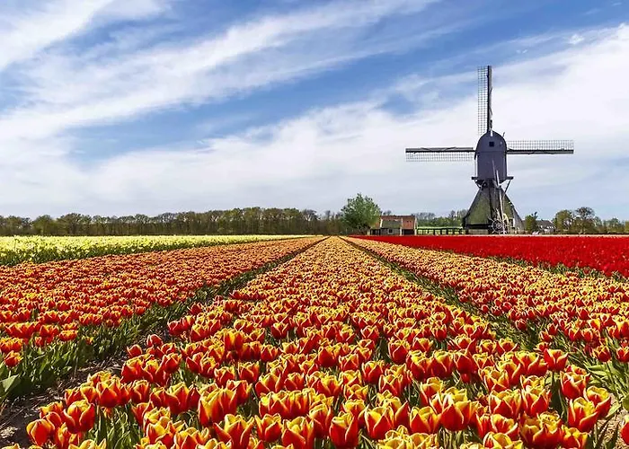 Bed & Breakfast Xaviera's 4*