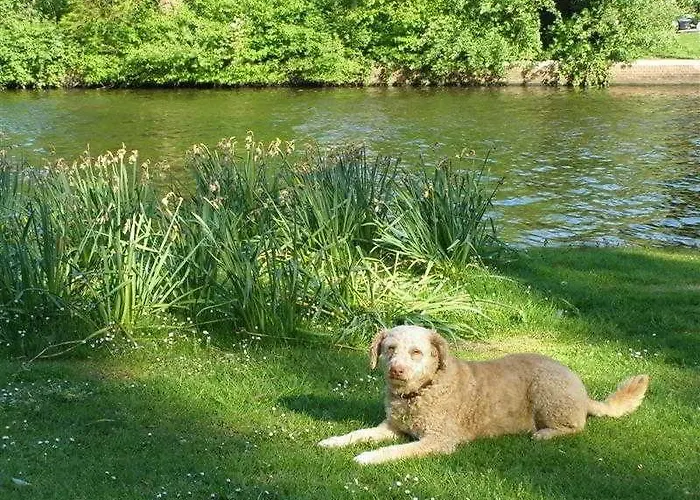 夏维拉住宿加早餐酒店 住宿加早餐酒店