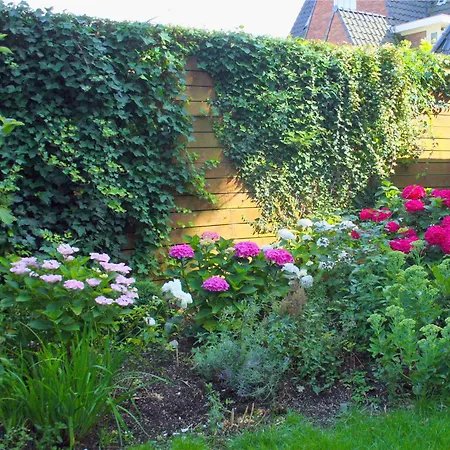 Bed & Breakfast Xaviera's Amsterdam