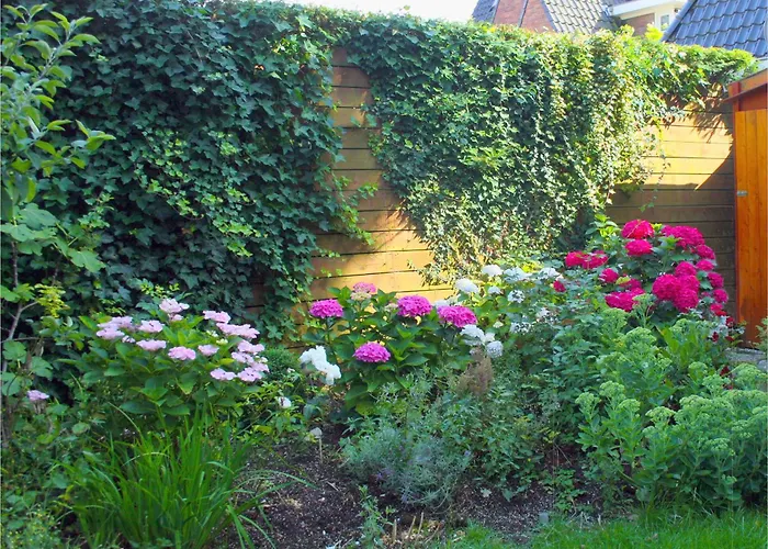 Bed & Breakfast Xaviera's Amsterdam